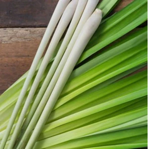 Lemongrass Incense - Paired with Frank and Tony's Ethos