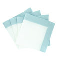 Mint Linen Napkins with Green Double-Sided Borders, Set of 4 / ChouChou Touch